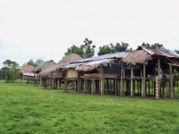 /album/nuestras-fotos/a100-0839-jpg/