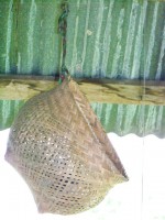 /album/nuestras-fotos/a100-0850-jpg/