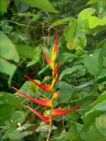 /album/nuestras-fotos/a100-1379-jpg/