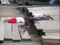 /album/nuestras-fotos/a100-1714-jpg/